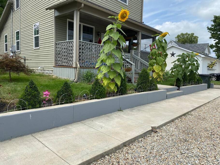 Solar Roof, Eco-Friendly Home Baltimore Extérieur photo